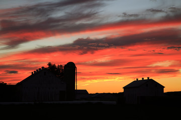 Sunset on the Farm - Powered by Adobe