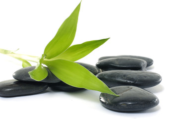 spa background, leaves and zen stones