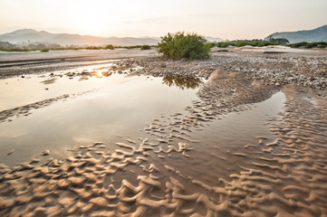 Sand dunes of Khong river and water plant.