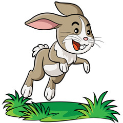 Rabbit Cartoon