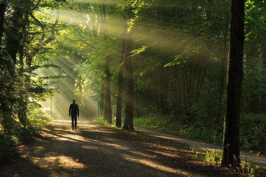 Man walking in a lane of trees and sun rays.