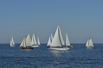 Obraz premium summer regatta of sailing boats