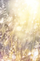 Fotobehang Slaapkamer Art autumn sunny nature background  © Konstiantyn