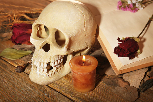 Human skull with dried rose petals and candle