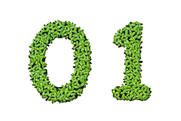 Duckweed alphabet letters - Number 0, 1