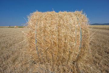 Bale of straw