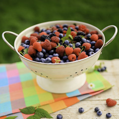 Fruits - fresh berries from garden
