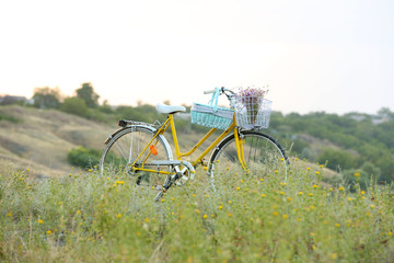 Naklejka premium Bicycle in meadow during sunset