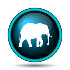 Elephant icon