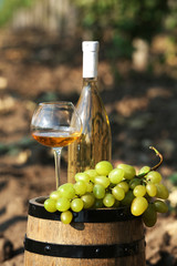 Fototapeta na wymiar Wooden barrel, grape and bottle of wine