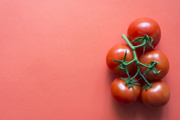 tomatoes red
