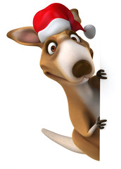 Fun kangaroo © Julien Tromeur