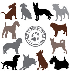 Dogs set design. Vector illustration.