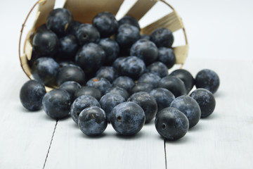 black plums in white background