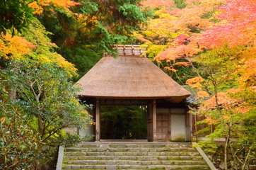 法然院　紅葉