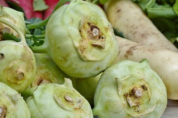 Fototapeta premium Kohlrabi