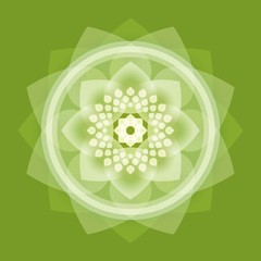 buddha,lotus,wheel of life,intuit