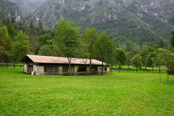 STALLA ANTICA A LEDRO IN TRENTINO