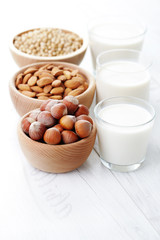 different vegan milk