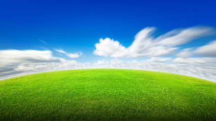 Fototapeta premium Field of green grass and sky