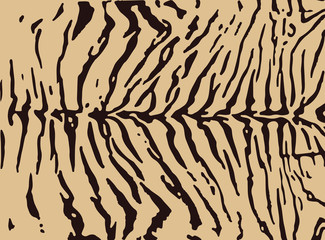 Tiger fur texture