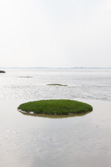 Watt an der Elbe