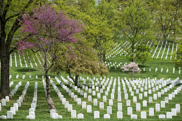 arlington cemetery graveyard