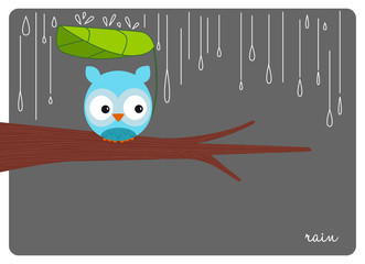 Obraz premium cute owl under leaf umbrella during a grey rainy day
