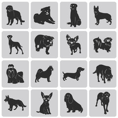 Dog Silhouette Black Icon Symbol grouped for easy editing set2.