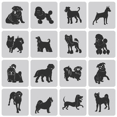 Dog Silhouette Black Icon Symbol grouped for easy editing set3.