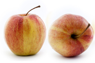 apples