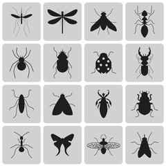 Exterminator Insects black icon set1. Vector Illustration eps10