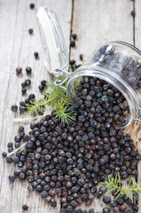 Dried Juniper Berries