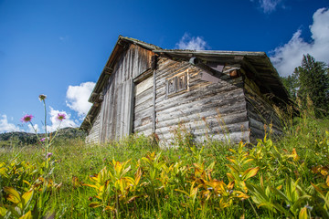 Old alpine hut