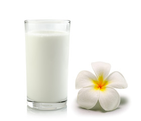 Obraz na płótnie Canvas glass of milk and Tropical flowers frangipani (plumeria)