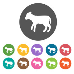 Sheep icons set. Round colourful 12 buttons. Vector illustration