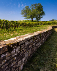 Obraz premium belle Bourgogne