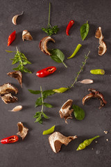 Red and green chilly pepper,herbs and spices on a gray backgroun