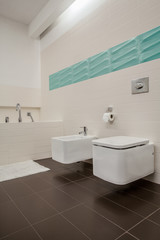 Bright bathroom with toilet and bidet