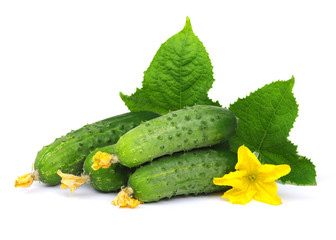 green cucumber