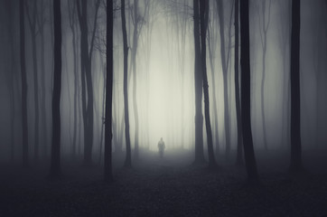 spooky forest scene with ghost on a path - 69944464
