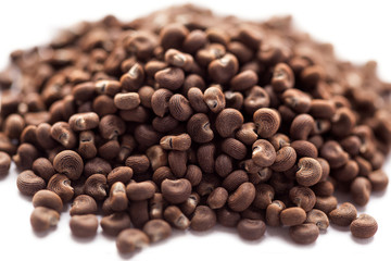 Abelmoschus moschatus (ambrette) seed