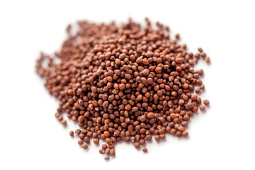 Small indian basil seed