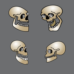 set of halloween skull