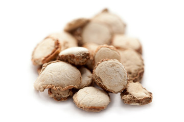 Hedychium spicatum (Spiked Ginger Lily or Kapur kachri)