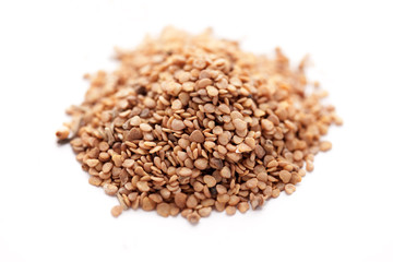 Ashwagandha seed (Withania somnifera)