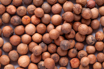 Santalum album (Indian sandalwood) seed