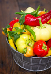 Variety of fresh organic peppers