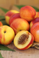 Apricots
