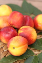 Apricots